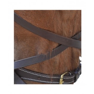 Bridon Bitless - Canter