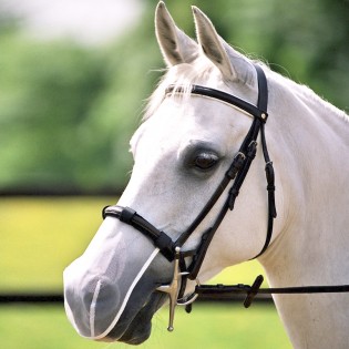 Protections de Nez Anti Encensement - Equilibrium