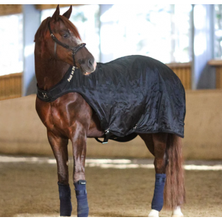 Couverture de Marcheur - Back on Track