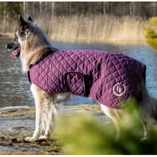 Manteau Night Collection pour Chien - Back on Track