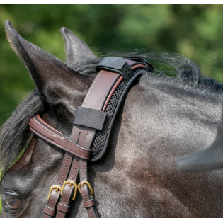 Protege Nuque - Back On Track