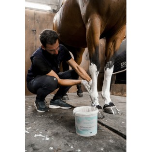 Pâte Relaxante Tendons et Articulations Ice N'Tight - Rekor