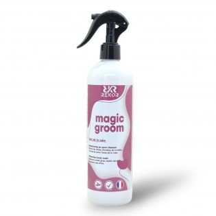 Shampoing Sec Magic Groom - Rekor