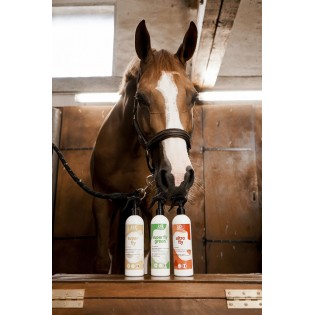 Répulsif Insecticide Super Fly - Rekor