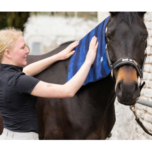Serviette Rafraîchissante Cool on Track - Back on Track