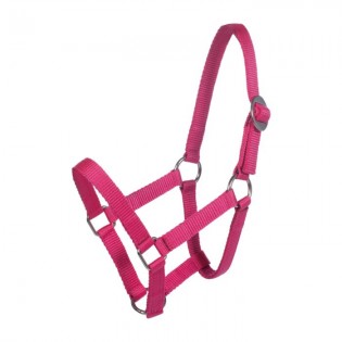 Licol Mini Shetty - HKM