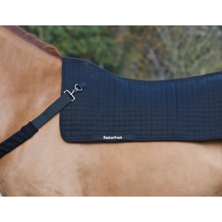 Chauffe Dos Back Warmer Royal - Back on Track