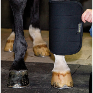 Sous Bandes No Bow - Back on Track