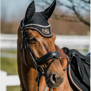 Bonnet Cheval Haze - Back On Track