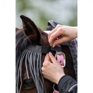 Frontal Anti Mouches - HKM